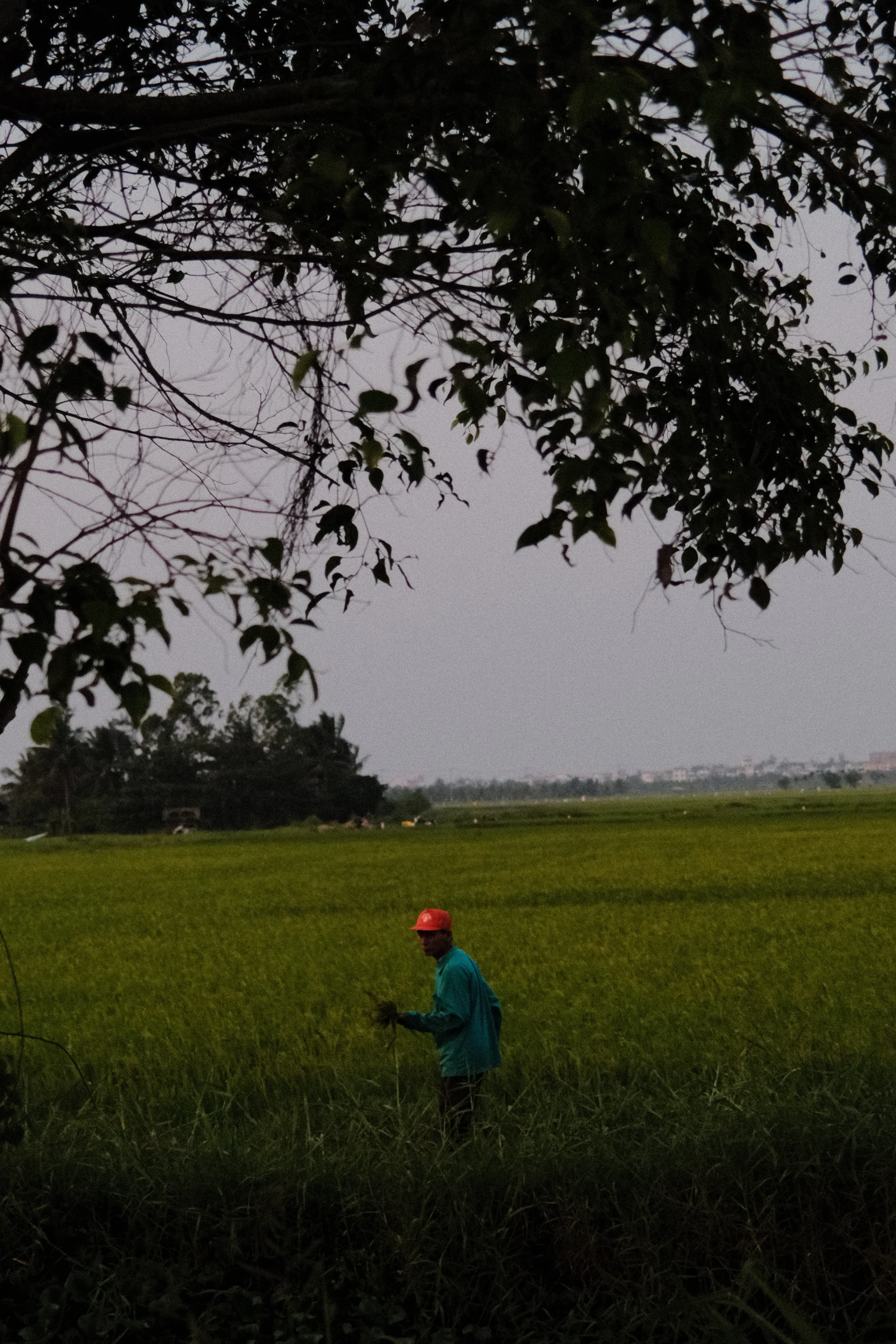Vietnam travel photograph by Artem Shutkin, Da Nang / Hoi An, April 2026