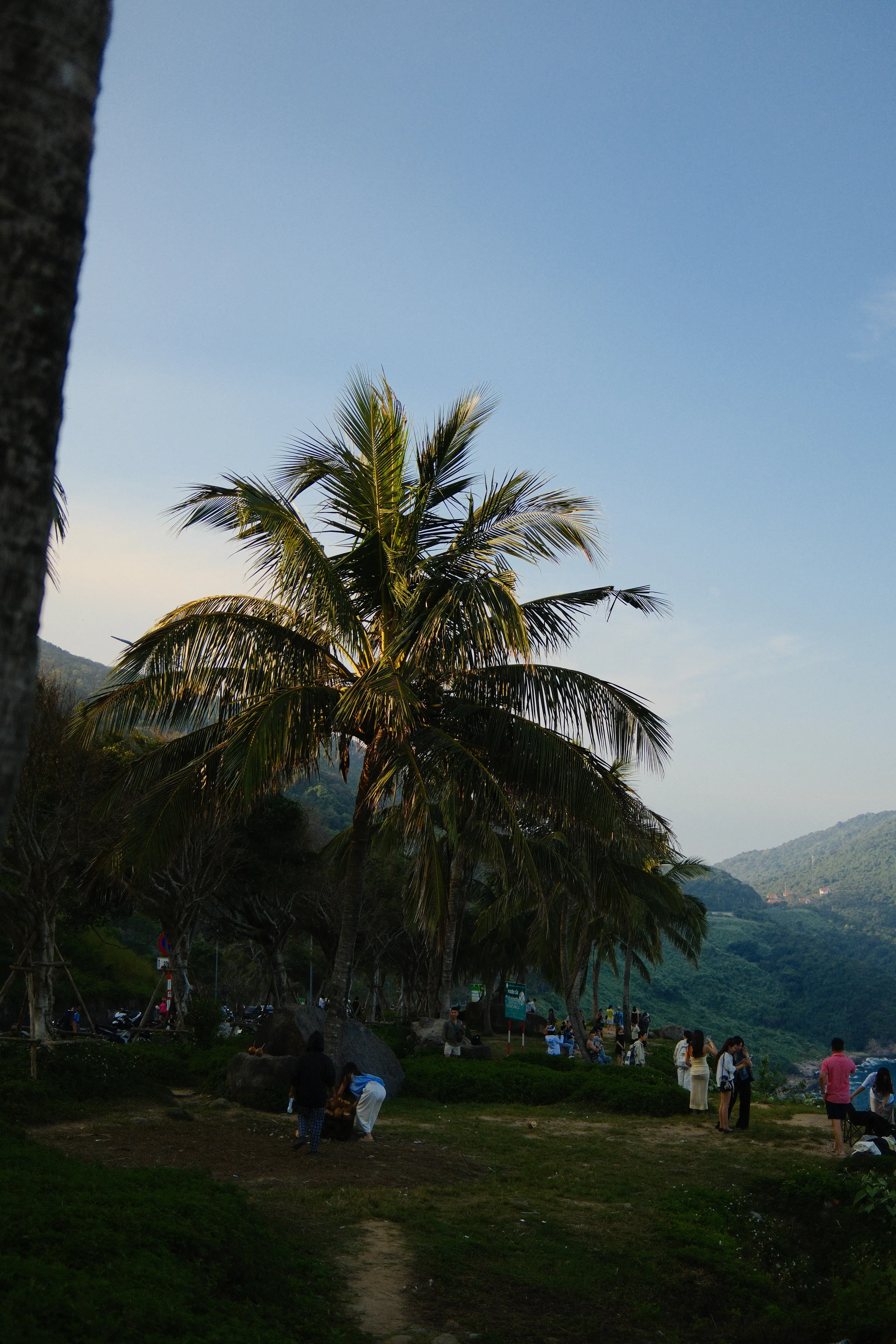 Vietnam travel photograph by Artem Shutkin, Da Nang, March 2026