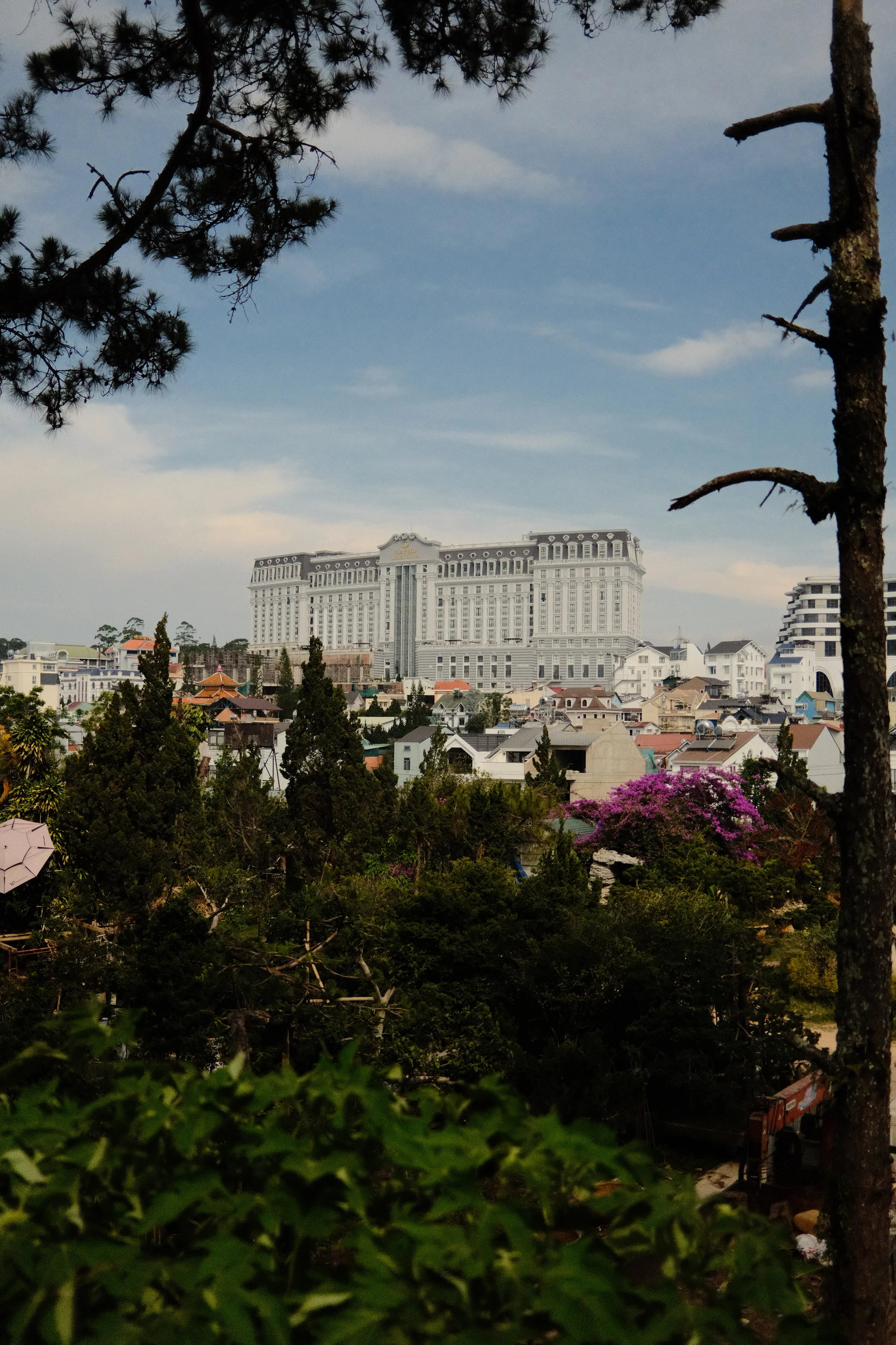 Vietnam travel photograph by Artem Shutkin, Da Lat, May 2026