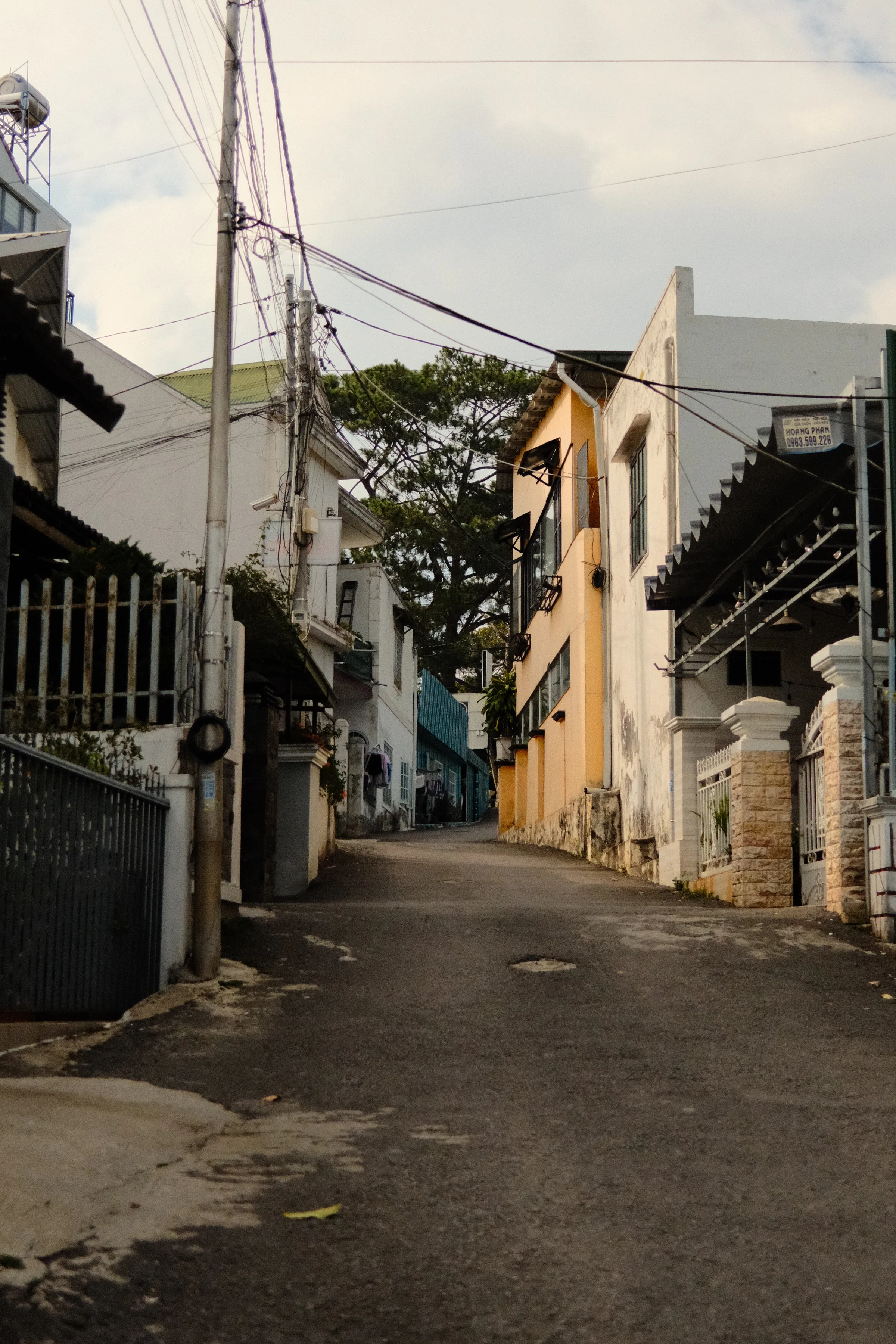 Vietnam travel photograph by Artem Shutkin, Da Lat, May 2026