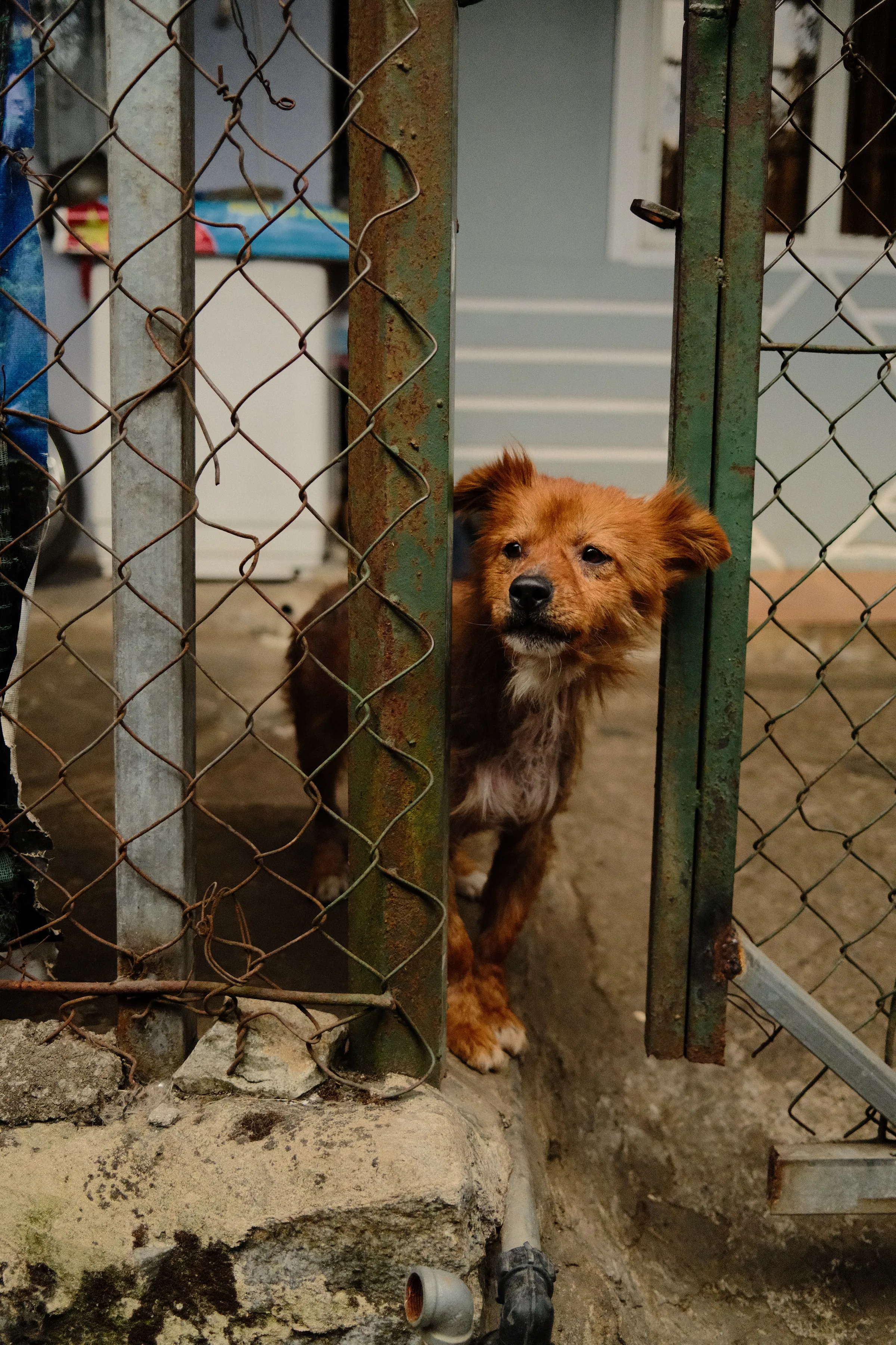Vietnam travel photograph by Artem Shutkin, Da Lat, May 2026