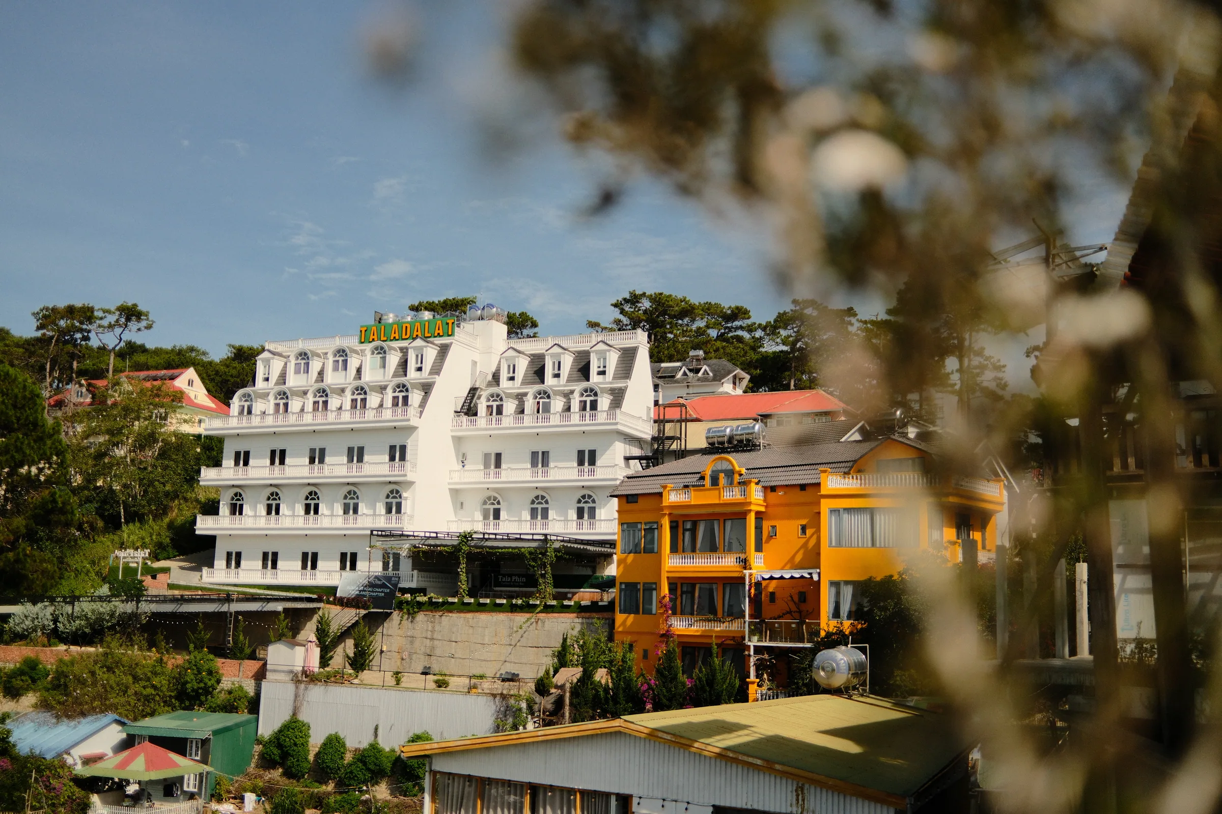 Vietnam travel photograph by Artem Shutkin, Da Lat, May 2026