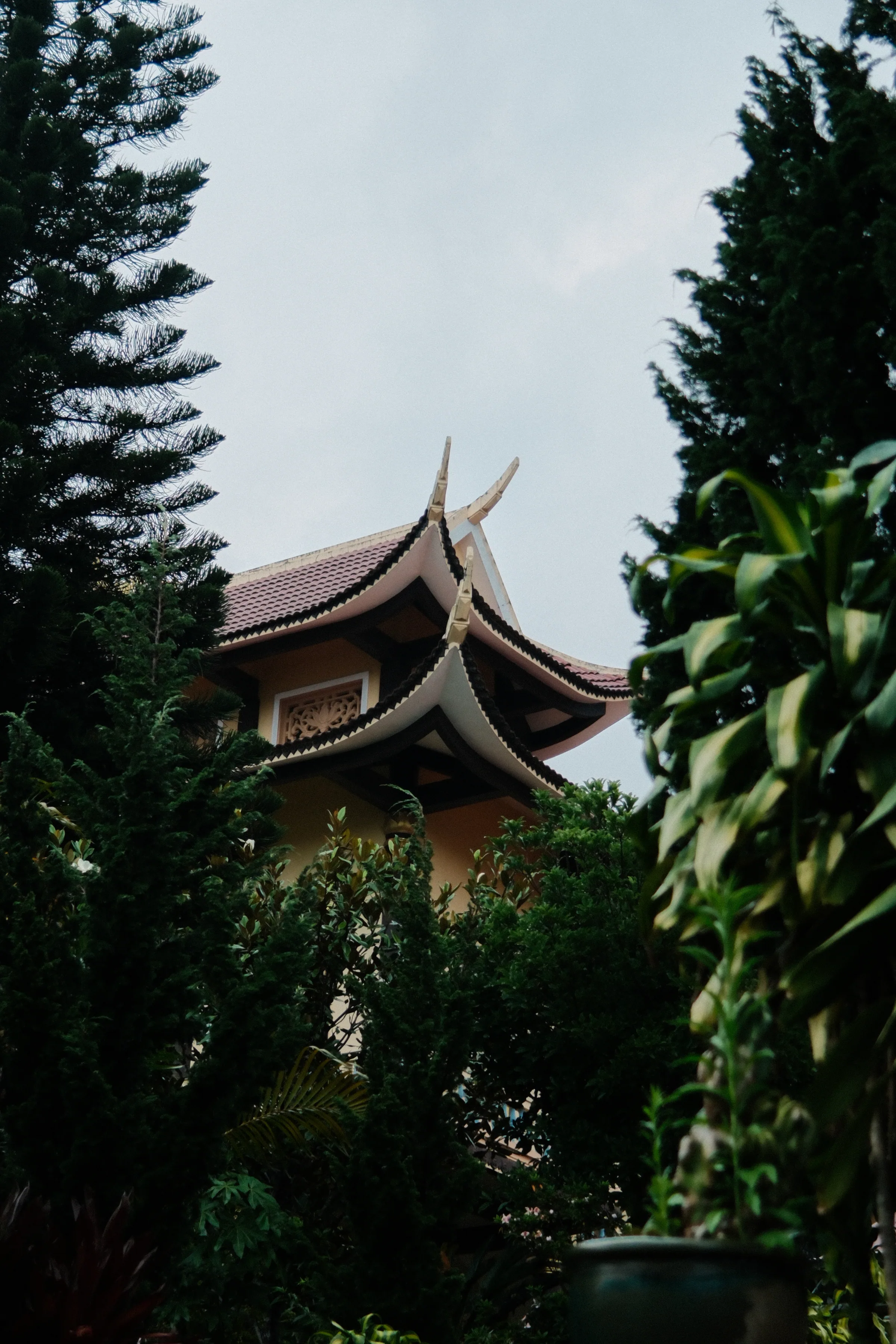 Vietnam travel photograph by Artem Shutkin, Da Lat, May 2026