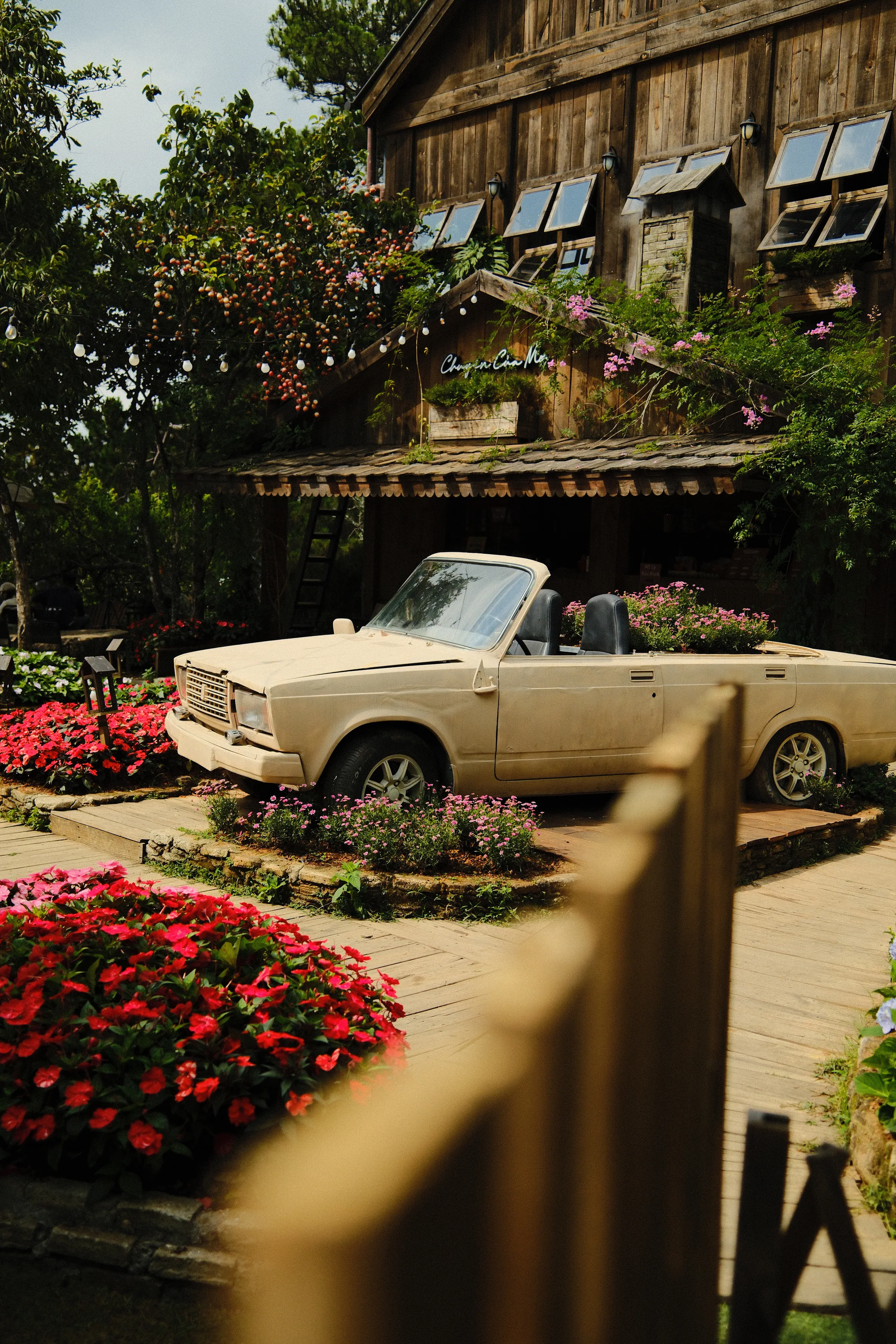 Vietnam travel photograph by Artem Shutkin, Da Lat, May 2026