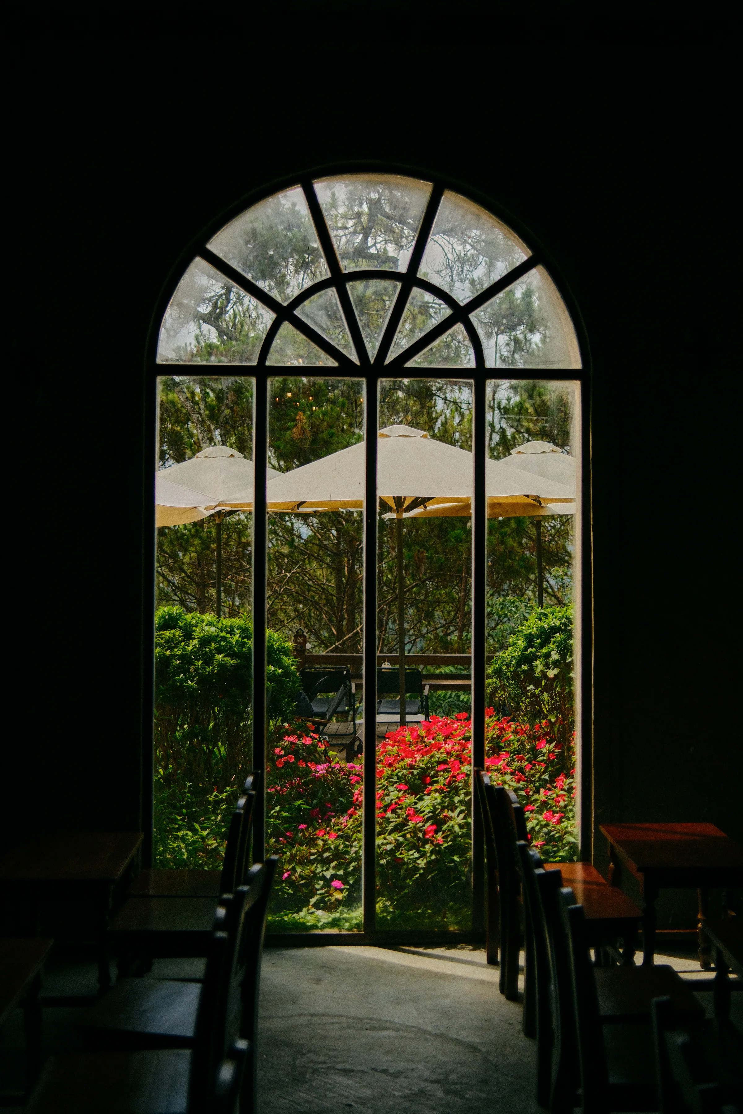 Vietnam travel photograph by Artem Shutkin, Da Lat, May 2026