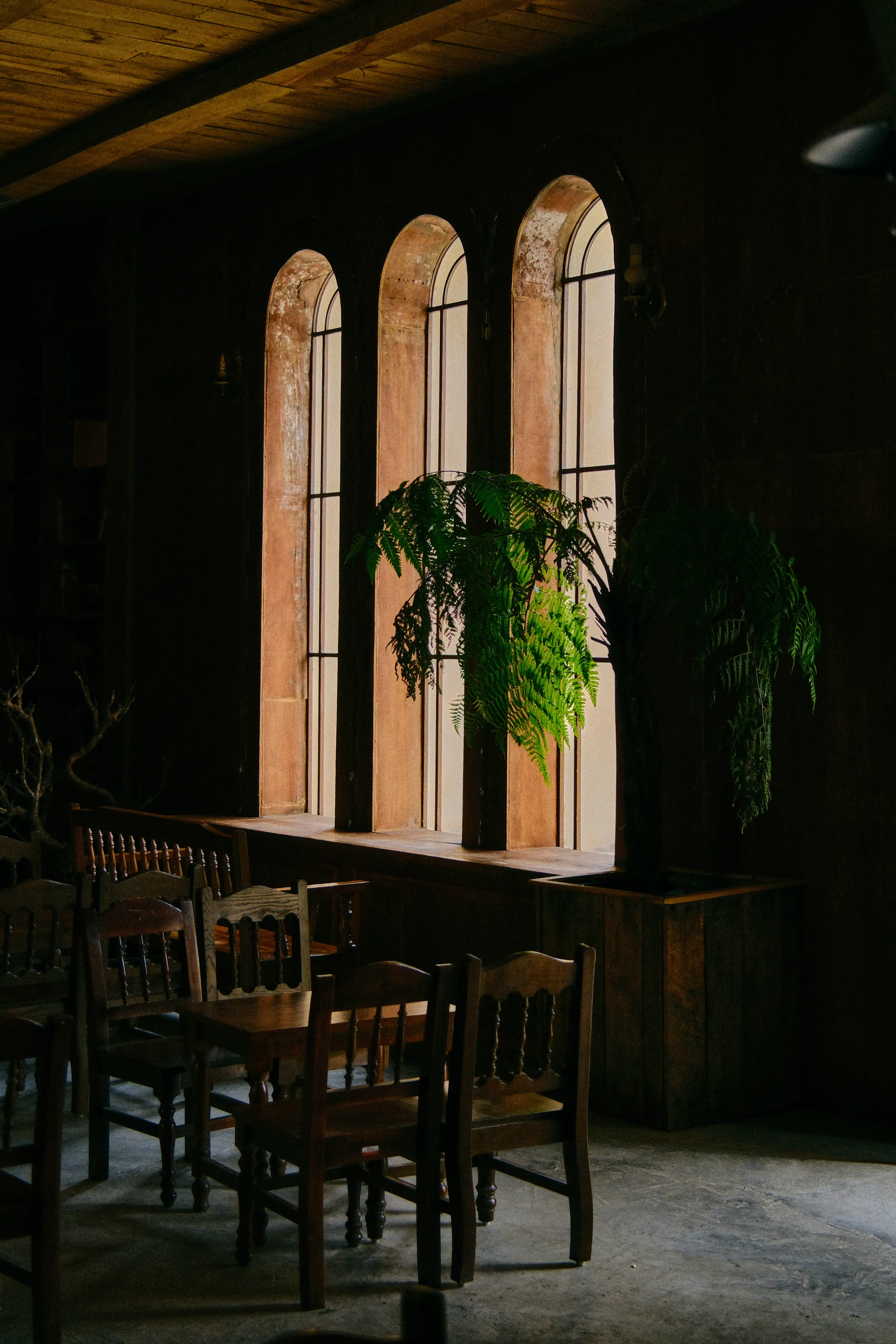 Vietnam travel photograph by Artem Shutkin, Da Lat, May 2026