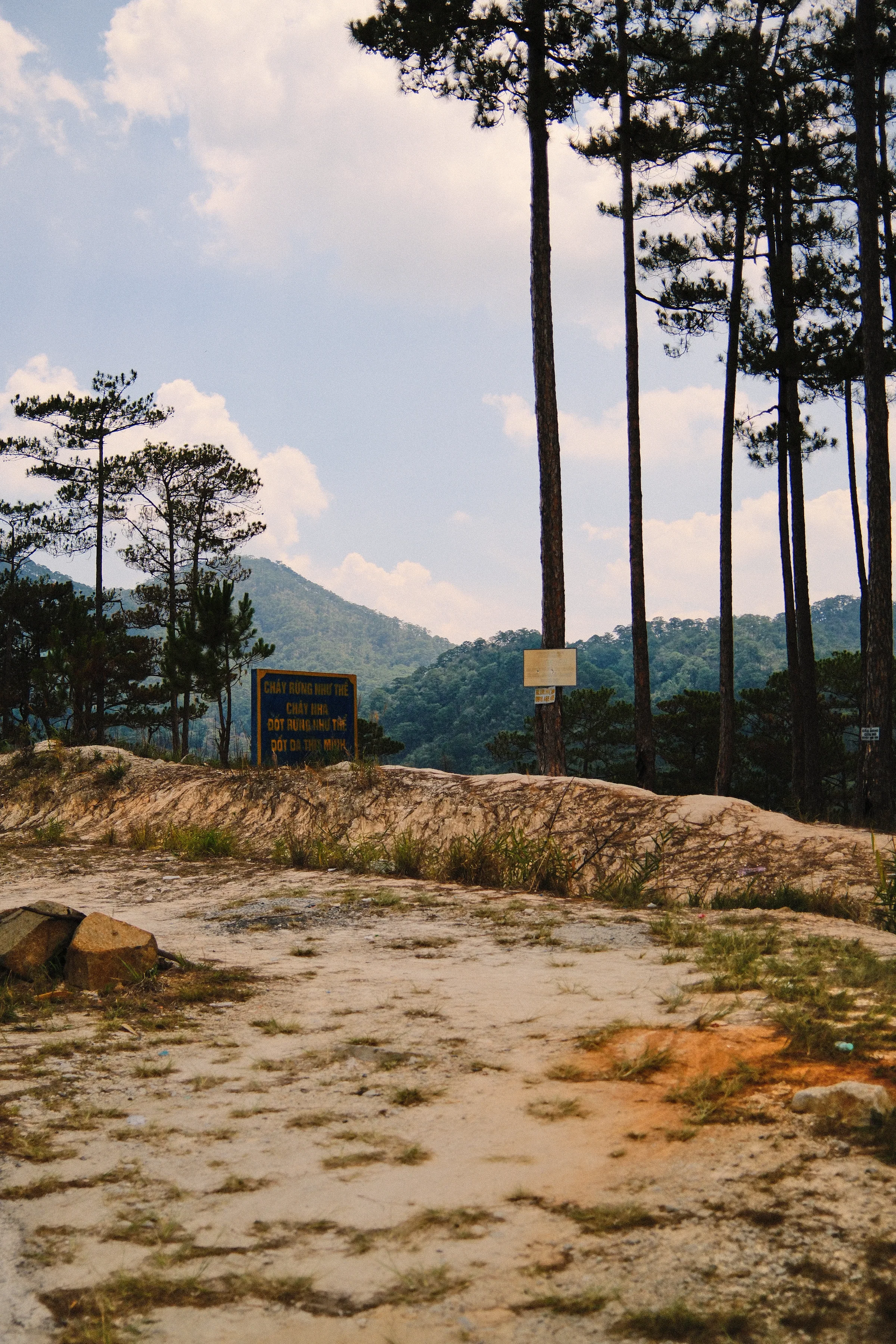 Vietnam travel photograph by Artem Shutkin, Da Lat, May 2026