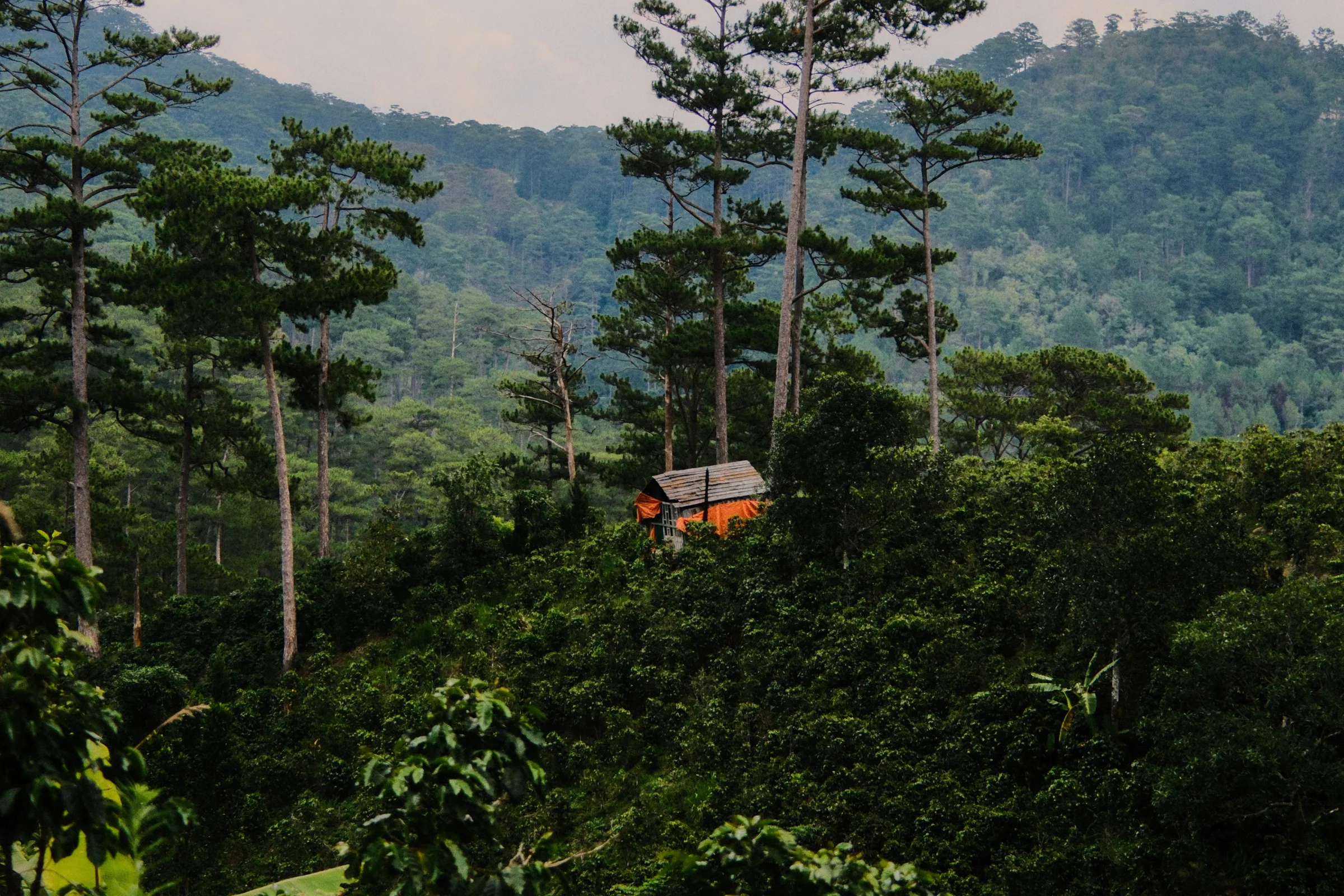 Vietnam travel photograph by Artem Shutkin, Da Lat, May 2026