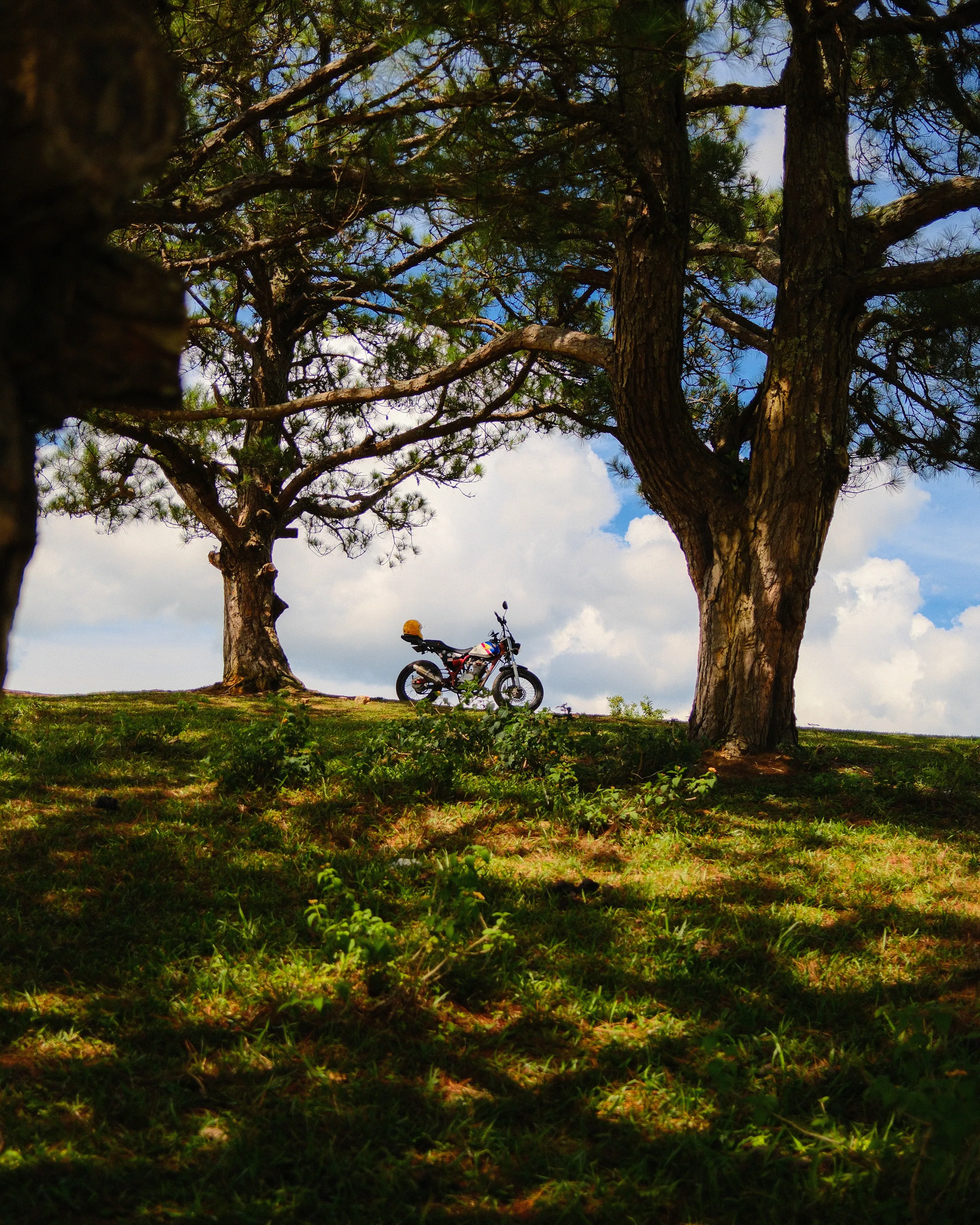 Vietnam travel photograph by Artem Shutkin, Da Lat, May 2026