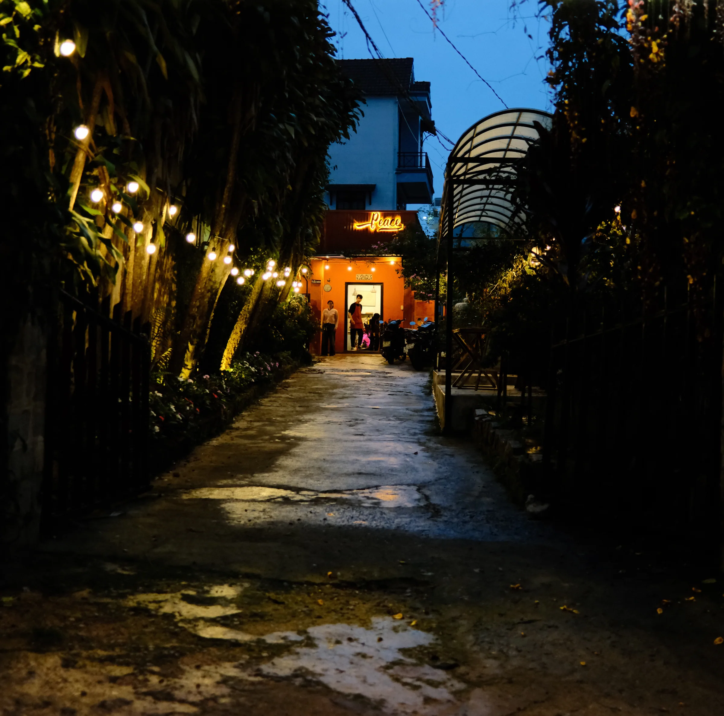Vietnam travel photograph by Artem Shutkin, Da Lat, May 2026