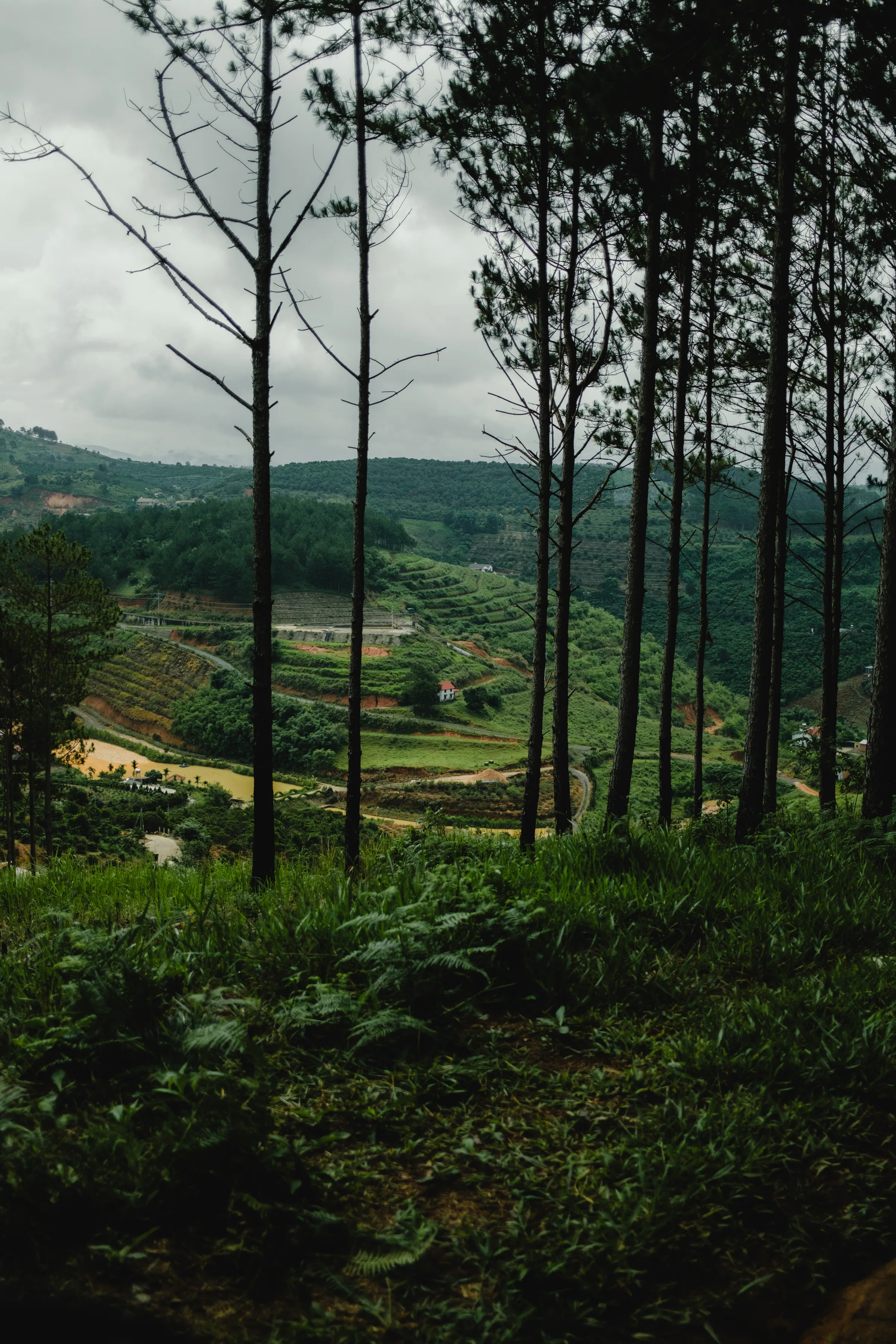Vietnam travel photograph by Artem Shutkin, Da Lat, May 2026