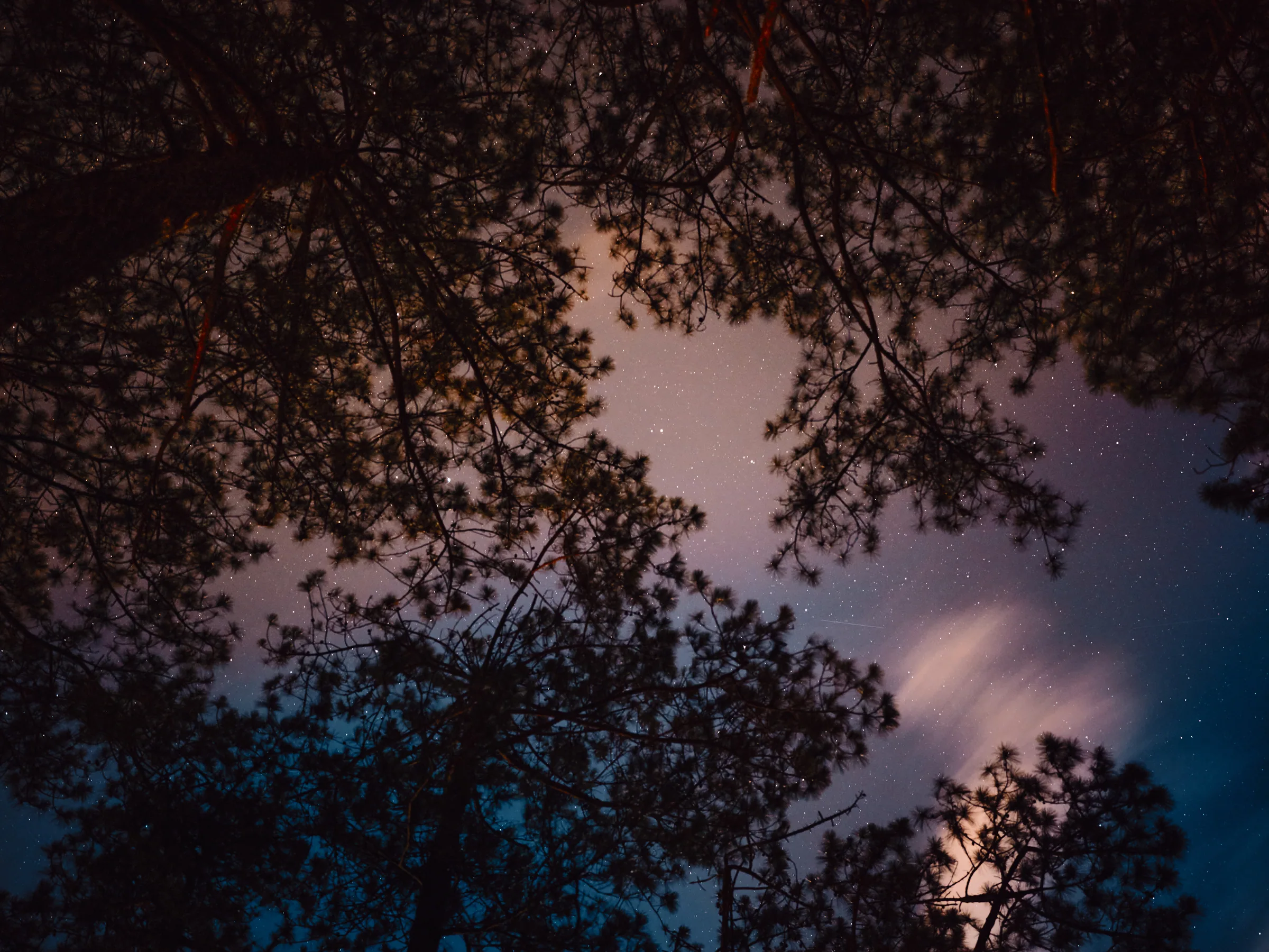 Vietnam travel photograph by Artem Shutkin, Da Lat, May 2026