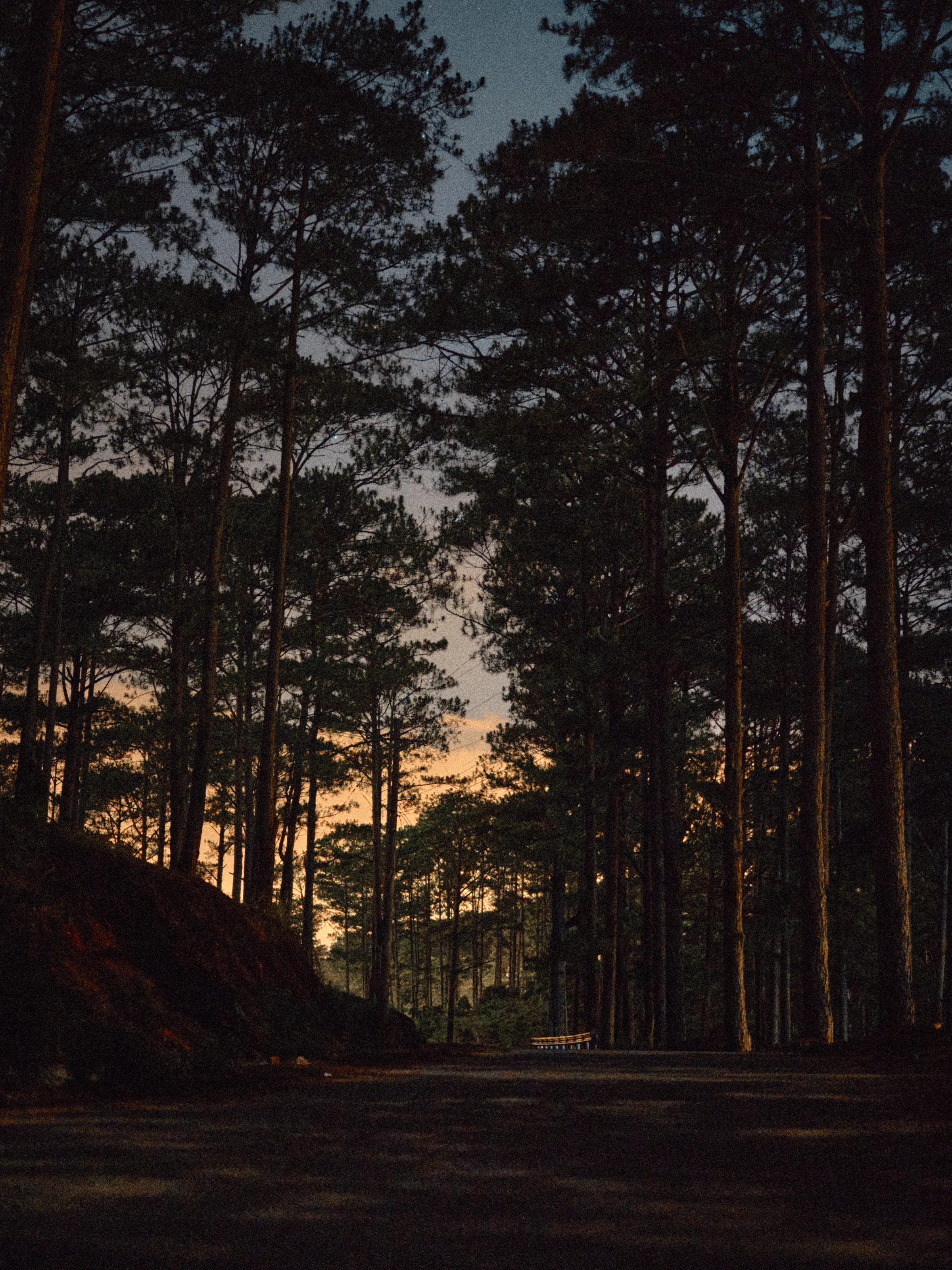 Vietnam travel photograph by Artem Shutkin, Da Lat, May 2026