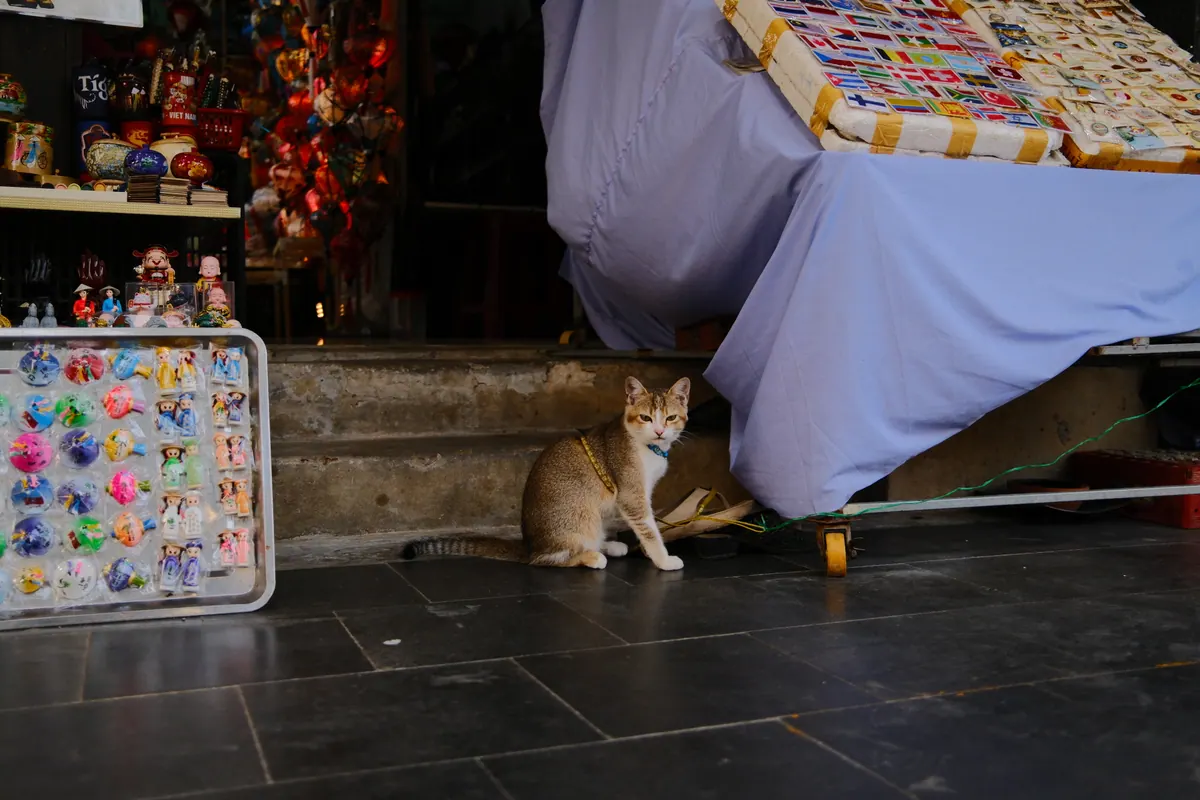 Vietnam photograph by Artem Shutkin, Da Nang / Hoi An