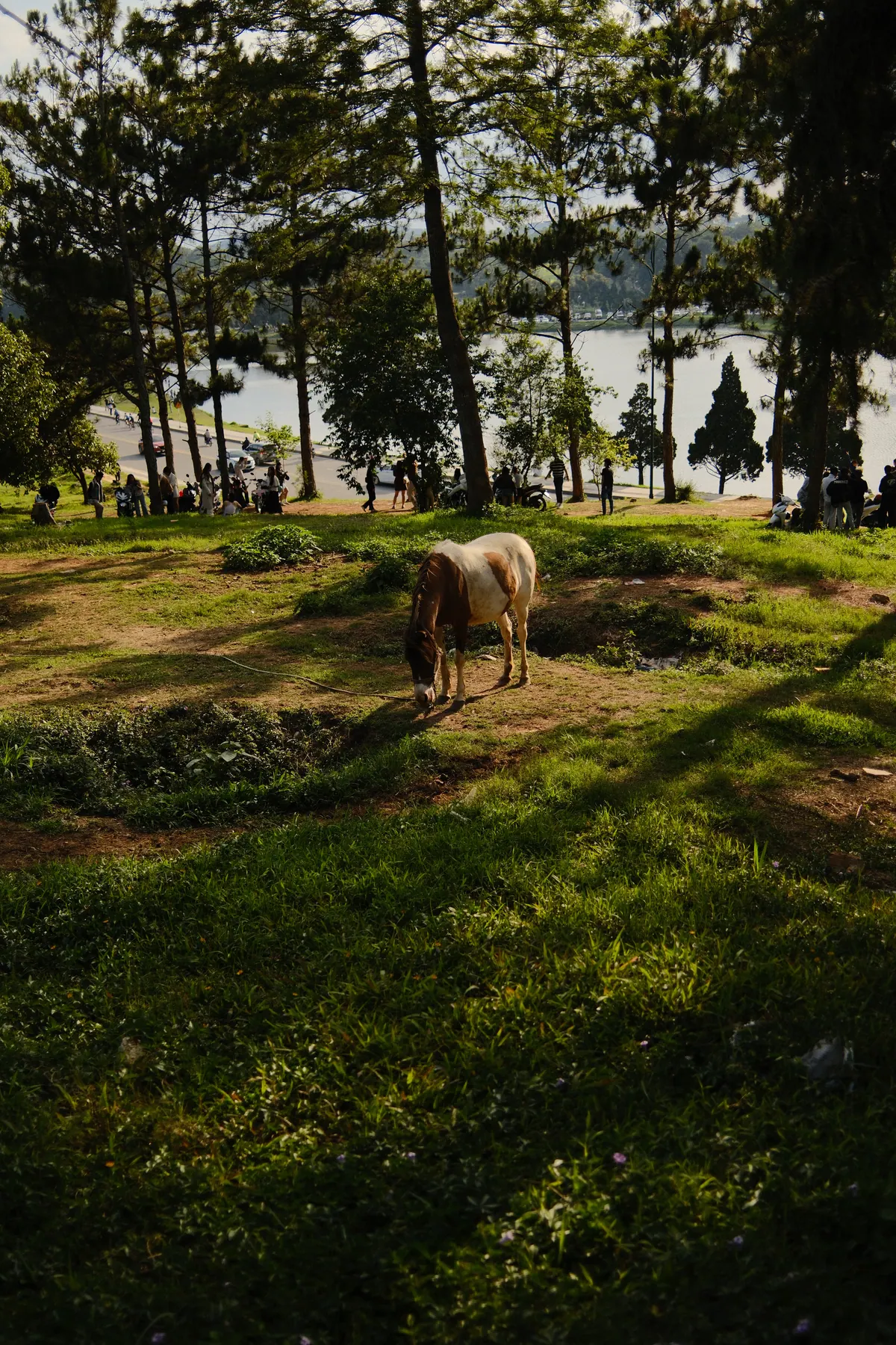 Vietnam photograph by Artem Shutkin, Da Lat