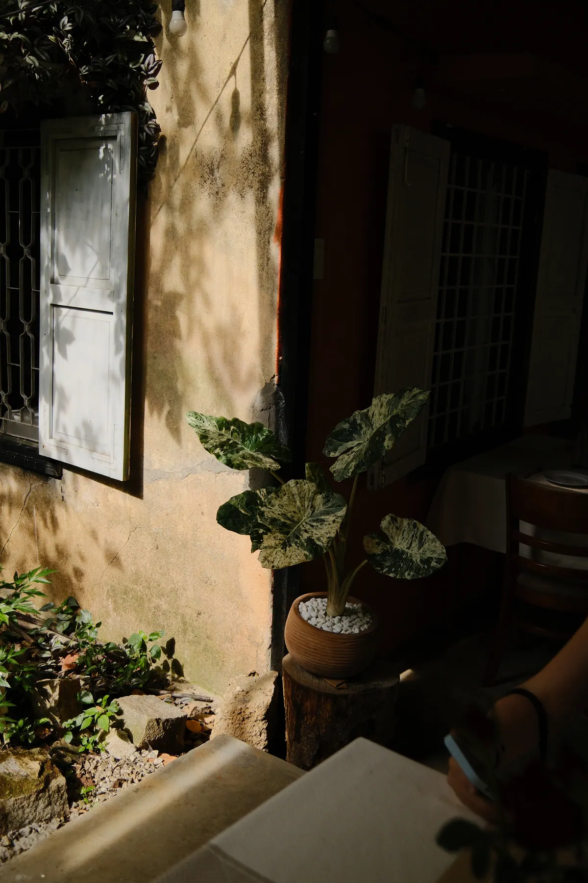 Vietnam photograph by Artem Shutkin, Da Lat
