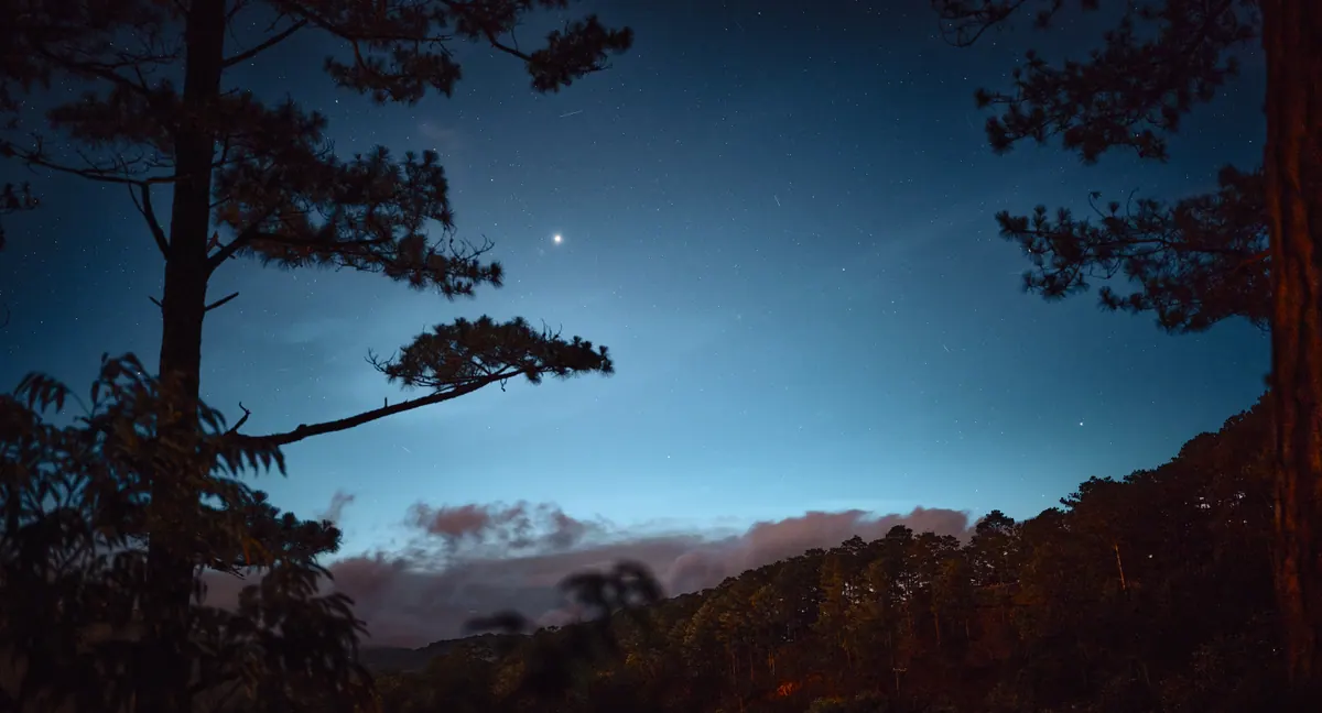 Vietnam photograph by Artem Shutkin, Da Lat