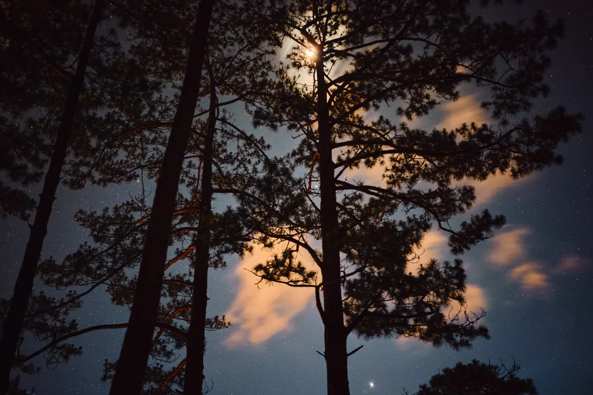 Vietnam photograph by Artem Shutkin, Da Lat