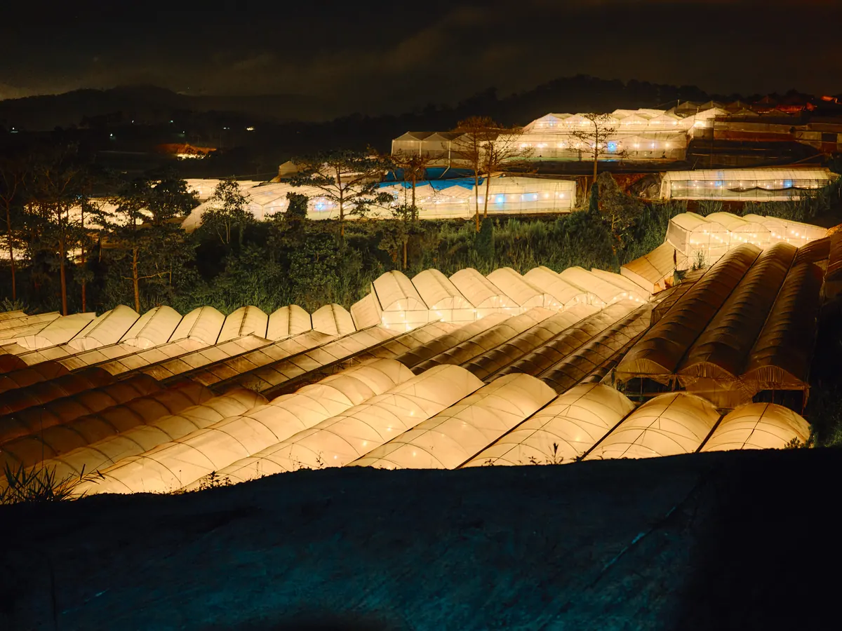 Vietnam photograph by Artem Shutkin, Da Lat